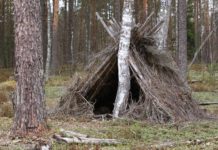 Карелия, говорите? «Вайб», «эстетика», «место силы»?