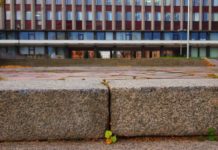 ЭЛЕКТРОННАЯ ДЕМОКРАТИЯ ПО-ПЕТРОЗАВОДСКИ