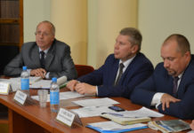 Жителям Суны пообещали новый бор. Через полвека Карельские чиновники устроили очередное обсуждение за "круглым столом" ситуации в Сунском бору. Фото: Алексей Владимиров