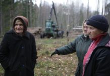 Они защищают родину