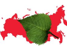 Банный лист к …… карте страны Коллаж Черники