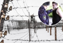 Член СПЧ: прокуратура с «закрытыми глазами» проверяла информацию о пытках в тюрьмах Карелии