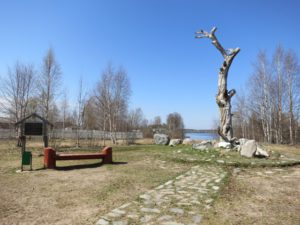 "Сосна Леннрота" в карельском поселке Калевала. Фото: monuments.karelia.ru