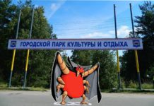 Клещи «на страже» интересов власти, или как паразиты помешали гражданам провести пикетирование в Медвежьегорске