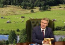 КАК ВВЕСТИ В ЗАБЛУЖДЕНИЕ ПРЕЗИДЕНТА СТРАНЫ И ПОЛУЧИТЬ ОРДЕН
