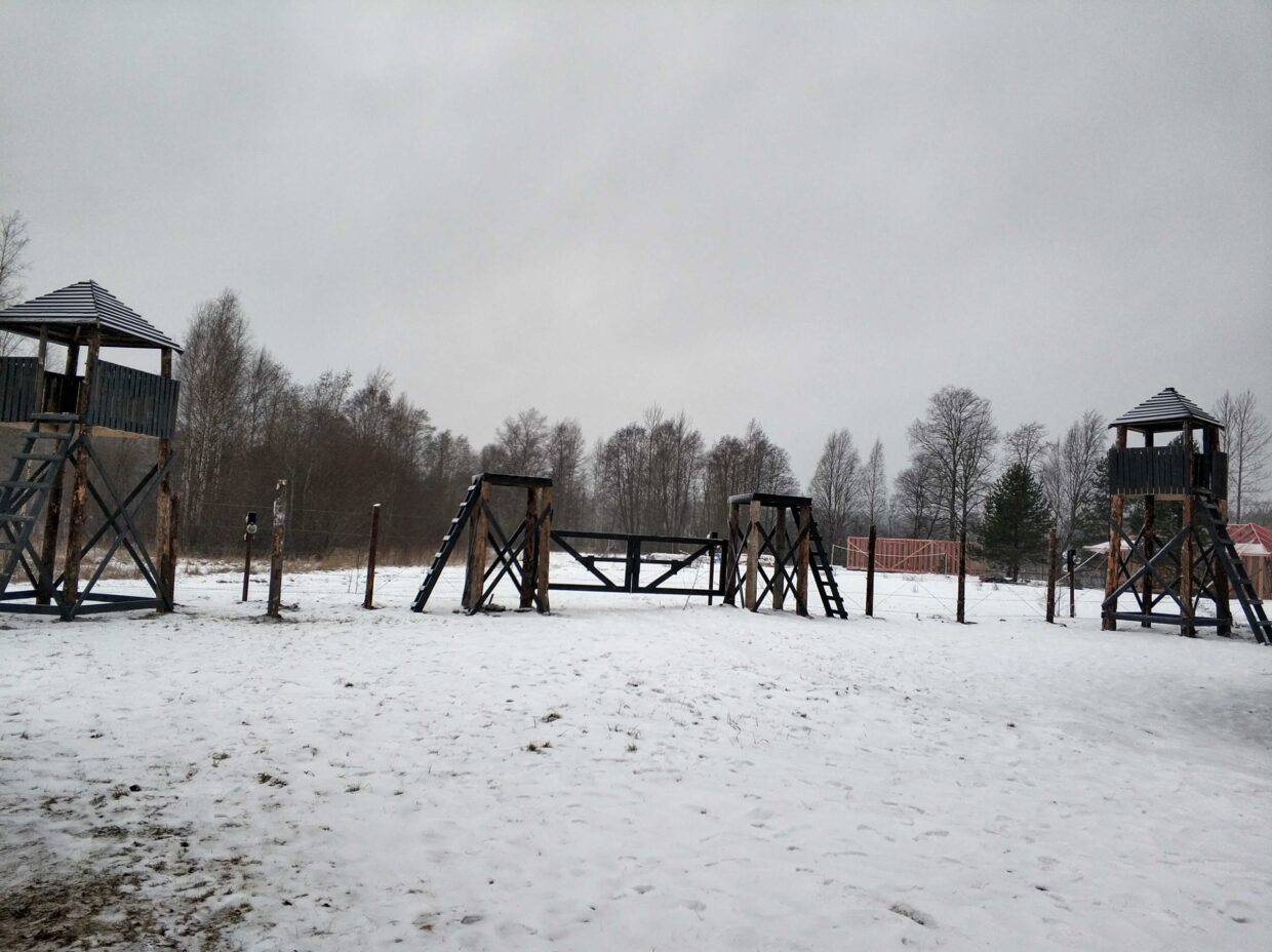 IMG_20201205_114839