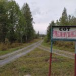 СОТ Рябинушка