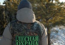 Лесным инспекторам и охране выдадут служебное оружие