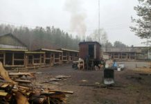 В Карелии разгорелась война из-за бездомных собак