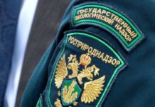 Из «завхозов» в экологи?