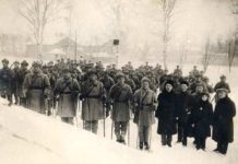Комикс-история от Национального музея Карелии