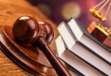 Лесник из Карелии осужден на 9 лет лишения свободы за получение взятки суд
