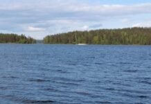 «Они ещё сопротивляются…» Жители Карелии собирают подписи
