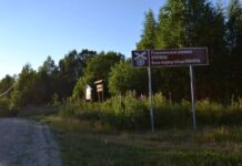 ФАС! Вас ожидает гражданка Никандрова