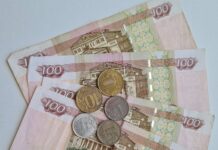 Цена карельского парламентаризма — 423 рубля в год