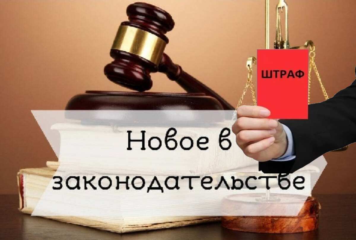 50d7d174236b39fa_XL