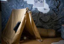 Музей экологических исследований организует день открытых дверей