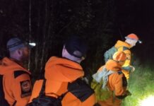 Спасатели нашли бабушку, заблудившуюся в лесу, по окурку волонтеры