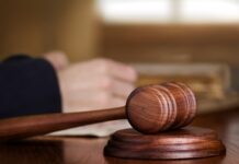 Вагиф Зейналов будет замещать Шогина в деле о двойном убийстве в Сегеже суд