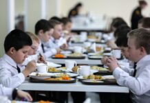 Школьников Карелии в 2023 году бесплатно накормят горячим завтраком школьное питание
