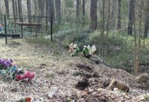«Сами гадим этими пластмассовыми цветочками на кладбищах»