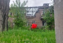 ПЯТЬ ДНЕЙ, КОТОРЫЕ ИЗМЕНИЛИ ЖИЗНЬ