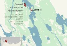«Усиливает негатив в адрес главы республики»