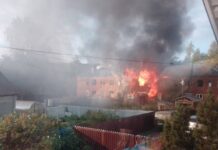Надо вовремя сносить, тогда и гореть не будут