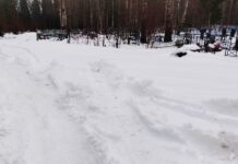 «Хоронить повезем на саночках?»