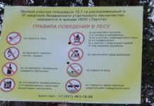 49 лет аренды, или Как Лендеры продали без спроса Фото из ТГ-каналов