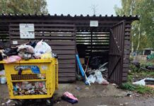 «Красные» и «зеленые» зоны Янины Свидской