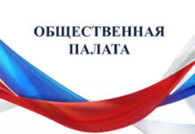 Каждой деревне — по Общественной палате!