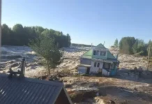 Дело о карельской плотине — на контроле у Бастрыкина