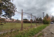 Почему в двух крупнейших районах Петрозаводска негде заниматься спортом?