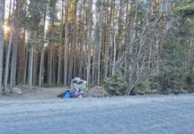 «Порядок на Соломенском кладбище оставляет желать лучшего»
