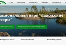 Вместо ответа министру: почему после обращения сотрудников «Ладожских шхер» предметом внимания стали журналисты