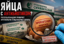 Яйца с антибиотиком?
