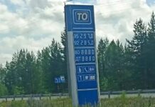 В Карелии подешевели огурцы и бензин