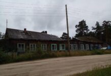 «Пережить бы ещё одну зиму»