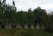«На развалинах ферм выросли рощи»