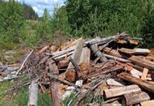 150 кубометров мусора как повод для серьезного разговора