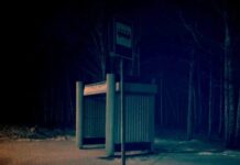 «Потемкинская» остановка в Сортавальском округе