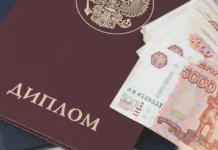 Миллион за диплом: во сколько обойдется высшее образование в Карелии