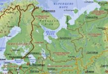 Четыре против семи: география думского голосования на Северо-Западе