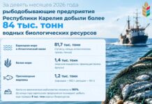 Карелия отчиталась о рекордном вылове рыбы. А что с ценами?