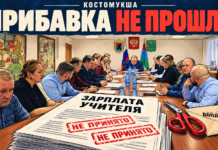 В Костомукше депутаты не поддержали новую систему оплаты труда учителей