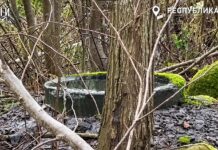 Канализация течёт прямо в озеро. Жители Соломенного вторую неделю жалуются на потоки нечистот